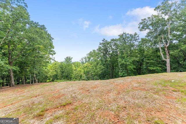 1055 S Laceola Road, Cleveland, GA 30528