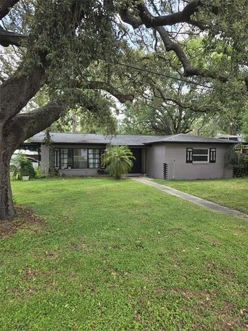 11821 VERA AVENUE, Tampa, FL 33618