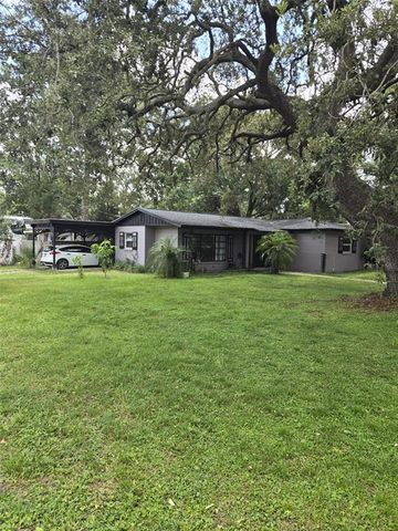 11821 VERA AVENUE, Tampa, FL 33618