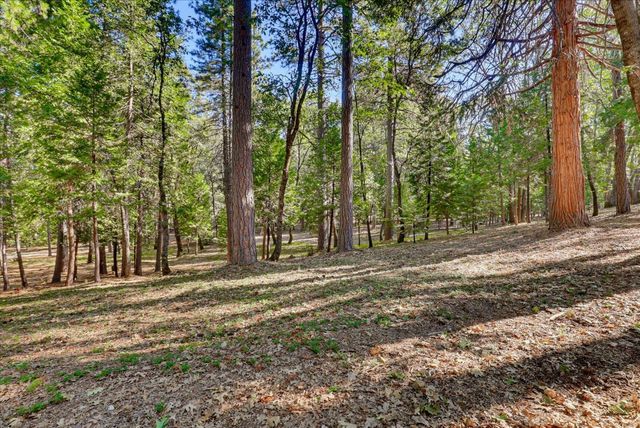 11223 Tower Hill Rd, Nevada City, CA 95959