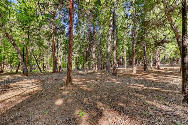 11223 Tower Hill Rd, Nevada City, CA 95959