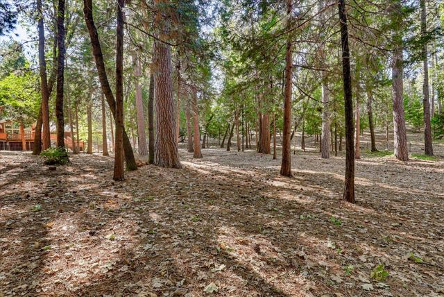 11223 Tower Hill Rd, Nevada City, CA 95959