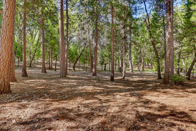11223 Tower Hill Rd, Nevada City, CA 95959