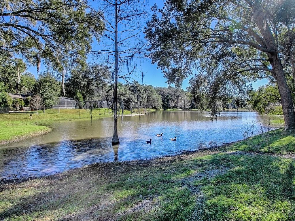 Image 43 of property listing at 2314 HILLSIDE DRIVE, Mount Dora, FL 32757