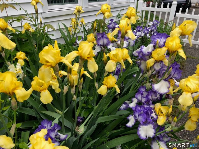 188 Henderson Road, Fairfield, CT 06824