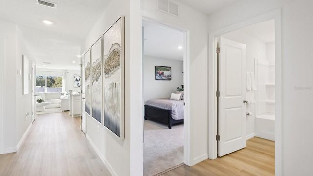 1210 ALPINE ASH PLACE, Ruskin, FL 33570