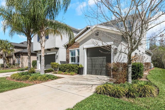 29494 PICANA LANE, Wesley Chapel, FL 33543