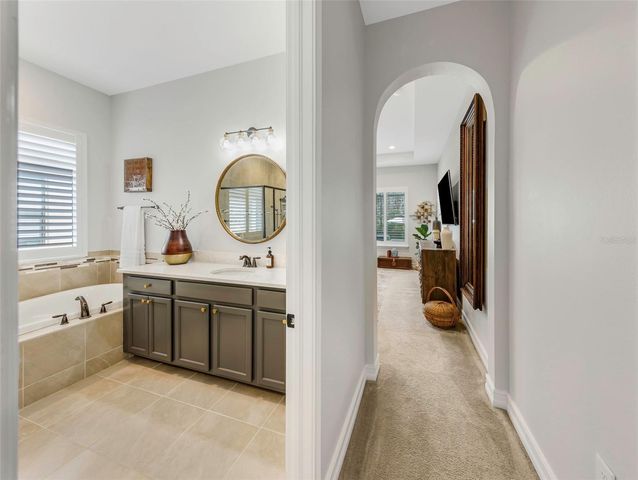 29494 PICANA LANE, Wesley Chapel, FL 33543