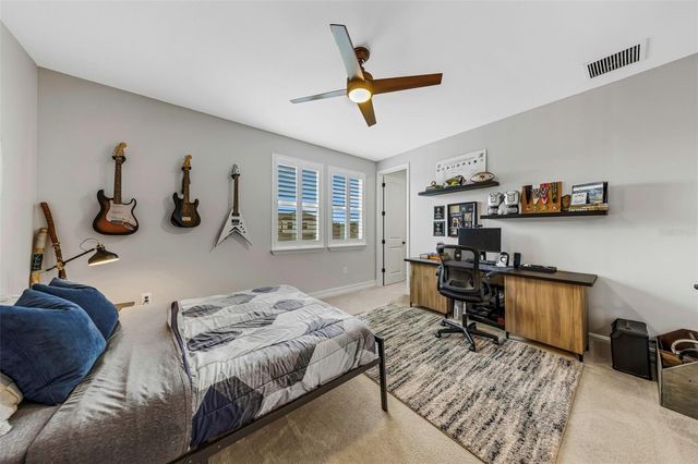 29494 PICANA LANE, Wesley Chapel, FL 33543