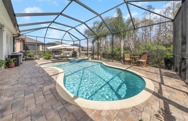 29494 PICANA LANE, Wesley Chapel, FL 33543