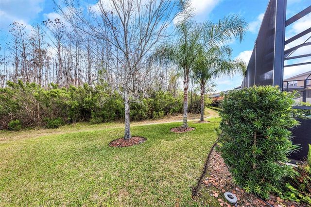 29494 PICANA LANE, Wesley Chapel, FL 33543