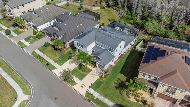 29494 PICANA LANE, Wesley Chapel, FL 33543