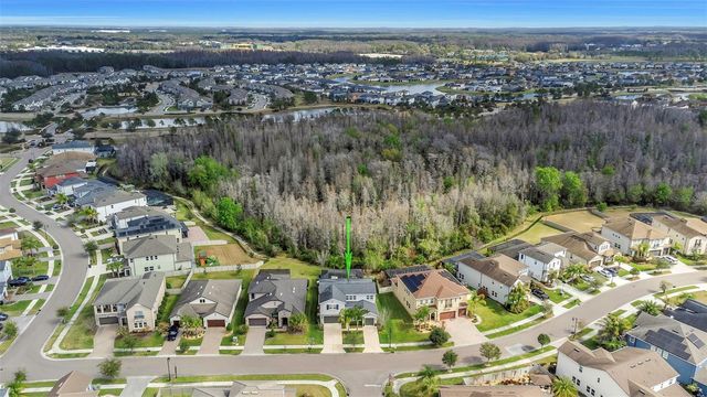 29494 PICANA LANE, Wesley Chapel, FL 33543