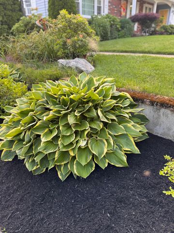 158 Bruce Road, Manchester, NH 03104