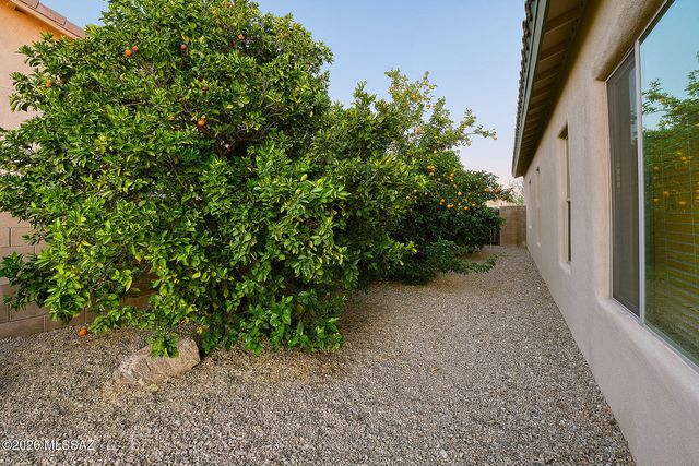 12953 N High Hawk Drive, Marana, AZ 85658