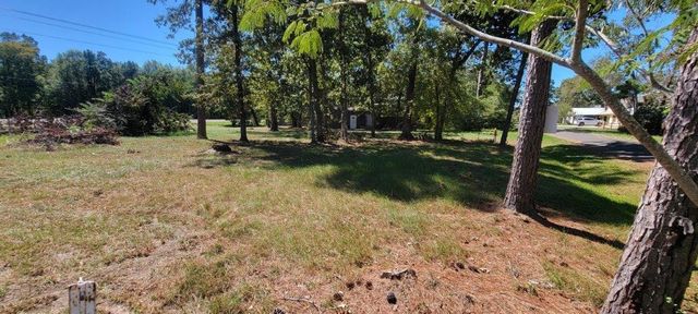 00 Palmetto Drive, Livingston, TX 77351