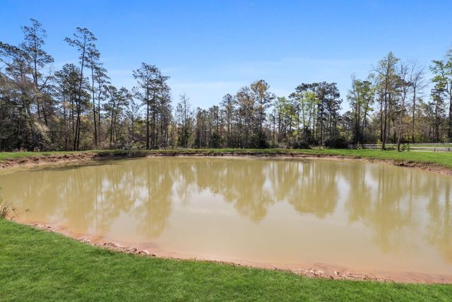 214 A Fm-1097 E, New Waverly, TX 77358