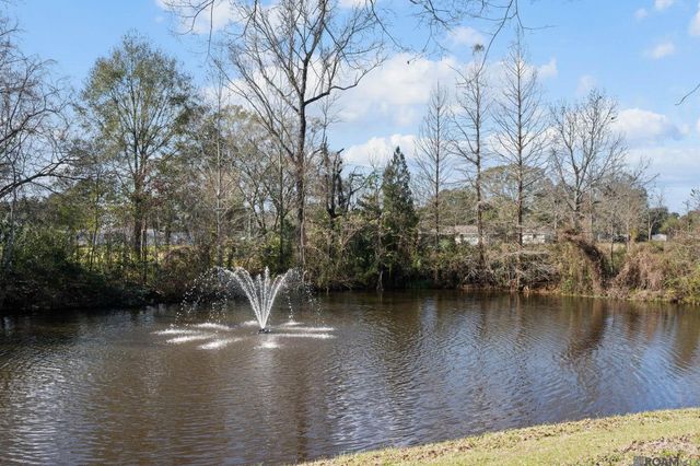 16195 Feliciana Ave, Prairieville, LA 70769