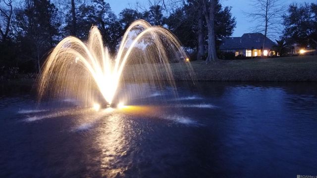 16195 Feliciana Ave, Prairieville, LA 70769