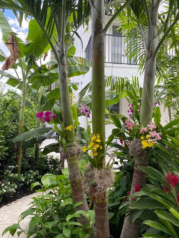 634 SE 3rd Avenue, Delray Beach, FL 33483