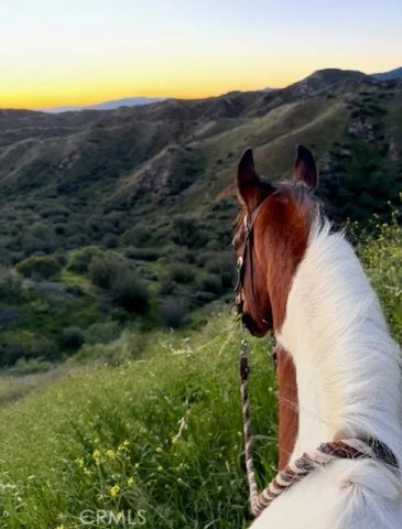 11519 Orcas Avenue, Sylmar, CA 91342