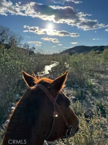 11519 Orcas Avenue, Sylmar, CA 91342