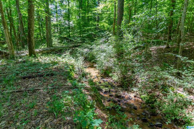 7171 BRANDON CIRCLE, Pinson, AL 35126