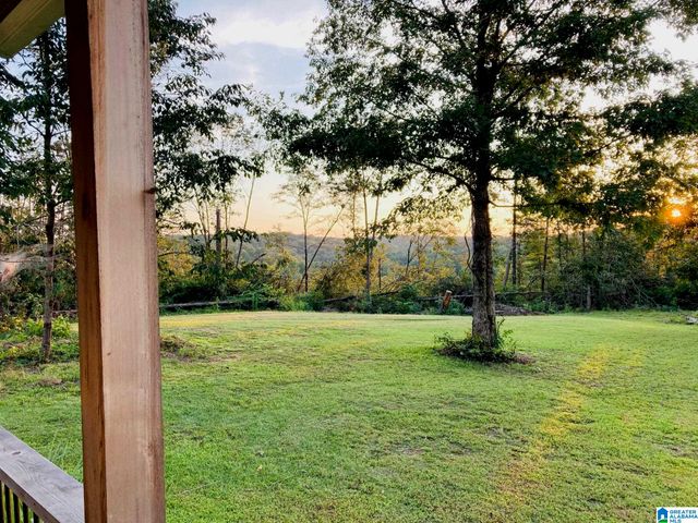 401 BUCKEYE TRAIL, Columbiana, AL 35051