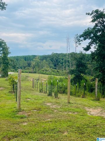 401 BUCKEYE TRAIL, Columbiana, AL 35051