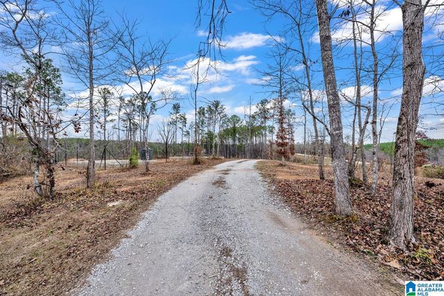 401 BUCKEYE TRAIL, Columbiana, AL 35051