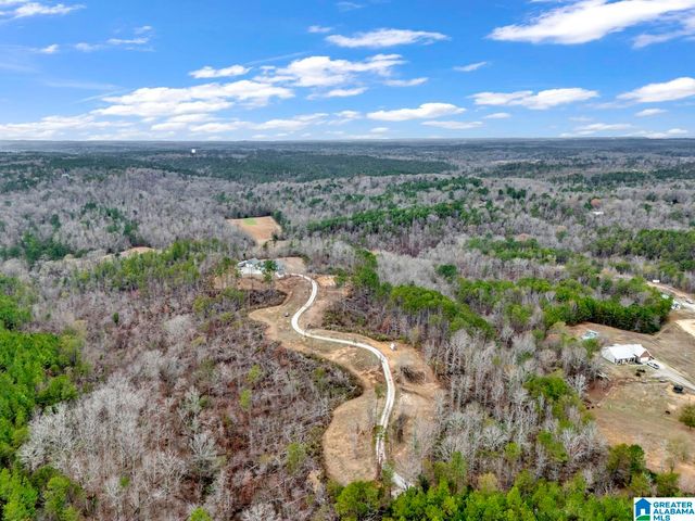 401 BUCKEYE TRAIL, Columbiana, AL 35051