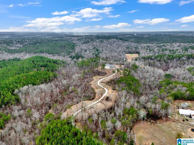 401 BUCKEYE TRAIL, Columbiana, AL 35051