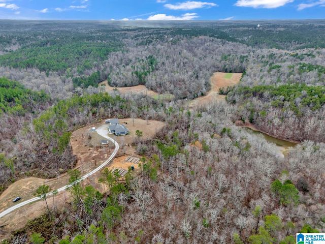 401 BUCKEYE TRAIL, Columbiana, AL 35051