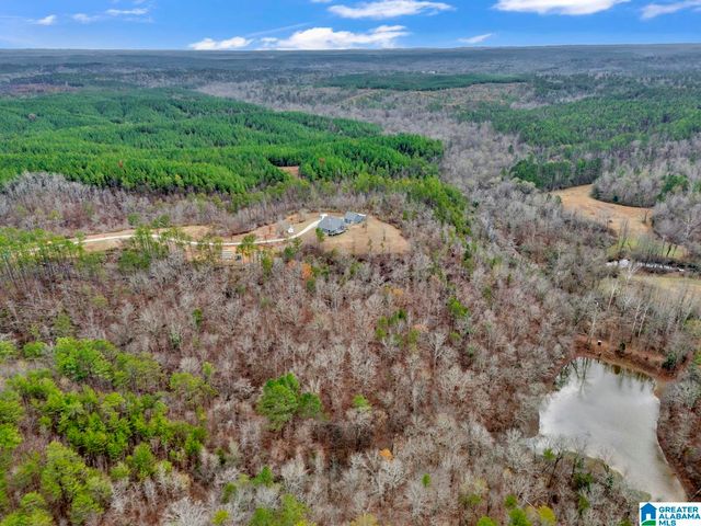 401 BUCKEYE TRAIL, Columbiana, AL 35051