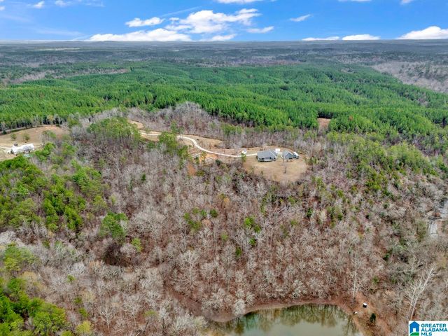 401 BUCKEYE TRAIL, Columbiana, AL 35051