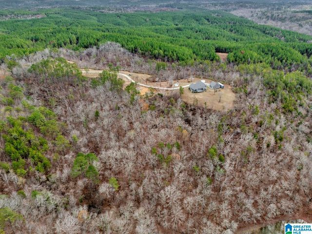401 BUCKEYE TRAIL, Columbiana, AL 35051