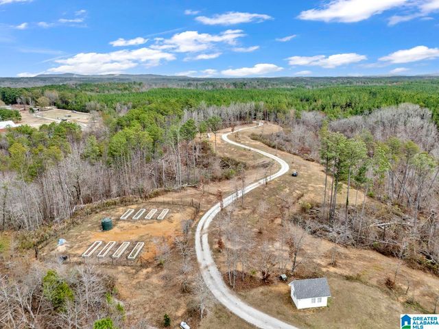 401 BUCKEYE TRAIL, Columbiana, AL 35051