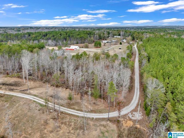 401 BUCKEYE TRAIL, Columbiana, AL 35051