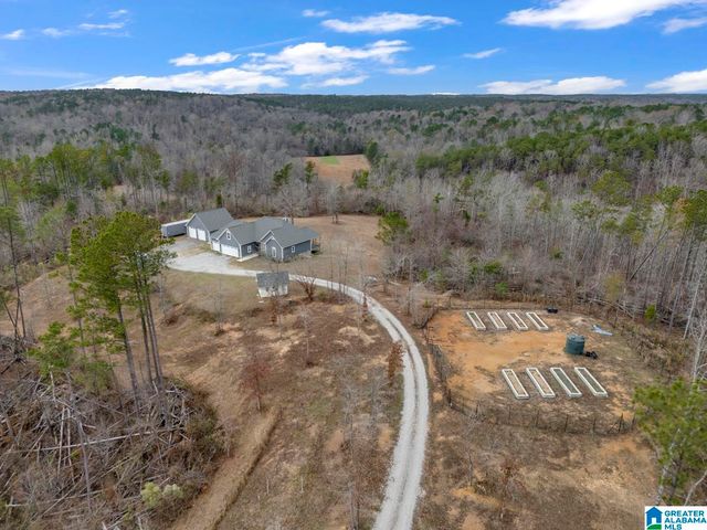 401 BUCKEYE TRAIL, Columbiana, AL 35051