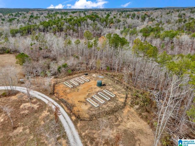 401 BUCKEYE TRAIL, Columbiana, AL 35051
