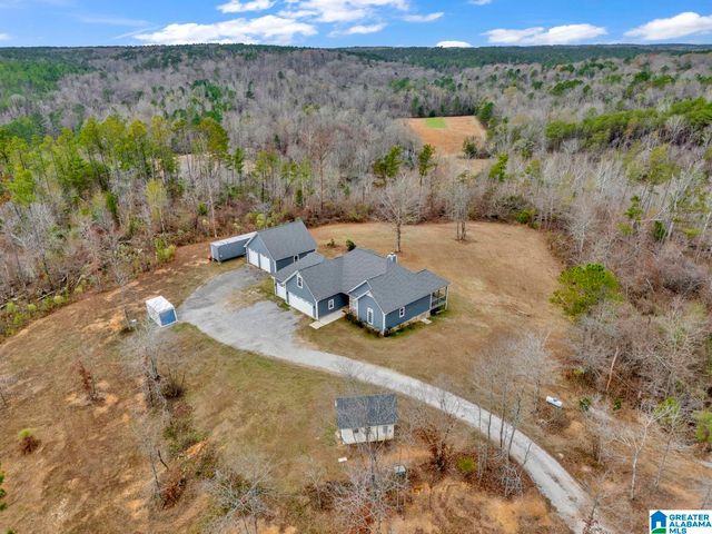 401 BUCKEYE TRAIL, Columbiana, AL 35051