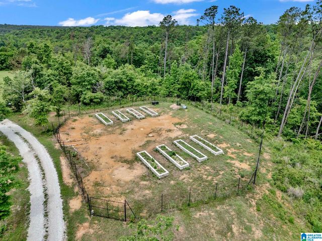 401 BUCKEYE TRAIL, Columbiana, AL 35051