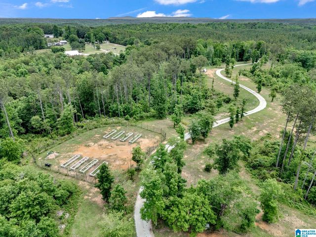 401 BUCKEYE TRAIL, Columbiana, AL 35051