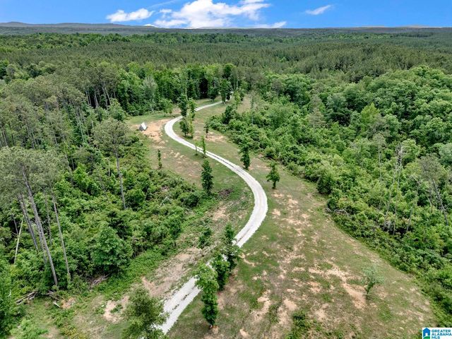401 BUCKEYE TRAIL, Columbiana, AL 35051