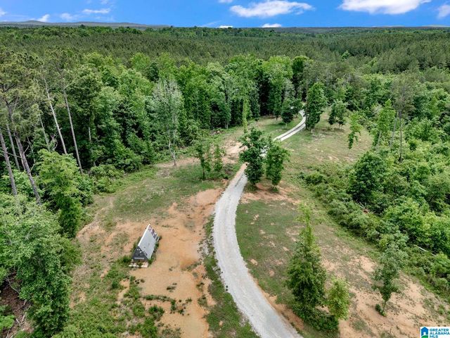401 BUCKEYE TRAIL, Columbiana, AL 35051