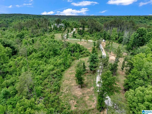 401 BUCKEYE TRAIL, Columbiana, AL 35051
