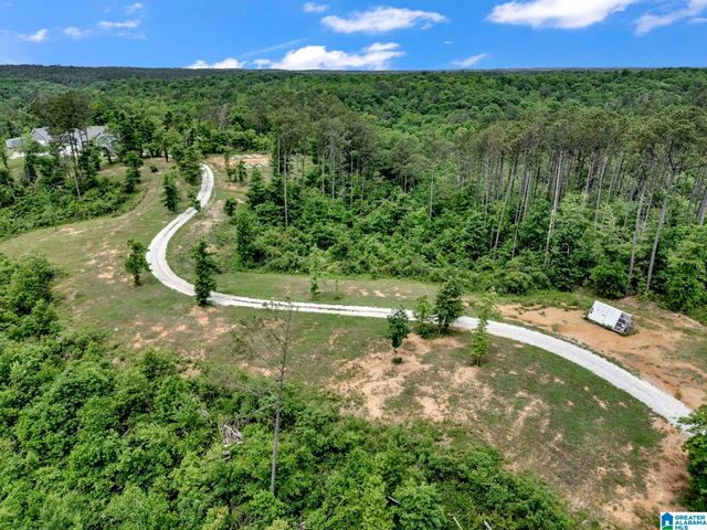 401 BUCKEYE TRAIL, Columbiana, AL 35051