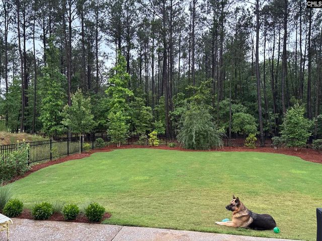 150 Stewart Landing Drive, Prosperity, SC 29127