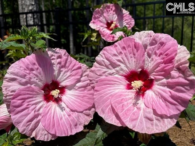 150 Stewart Landing Drive, Prosperity, SC 29127