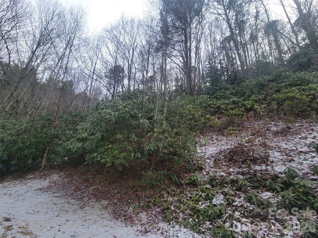 859 Big Cove Road, Waynesville, NC 28786